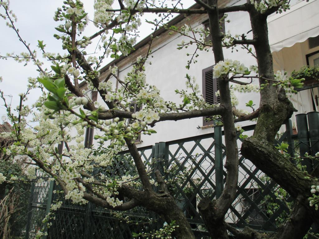 Dimora & Arte B&B Canneto sull'Oglio Esterno foto